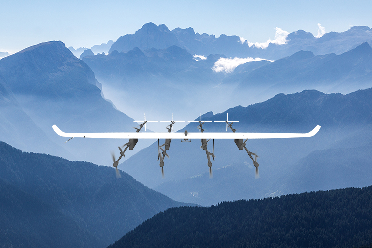 澳门新威斯尼平台