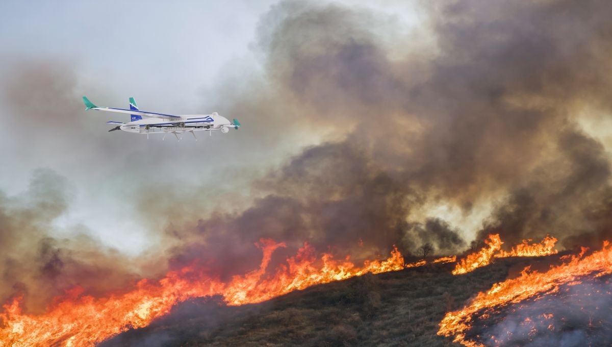 澳门新威斯尼平台