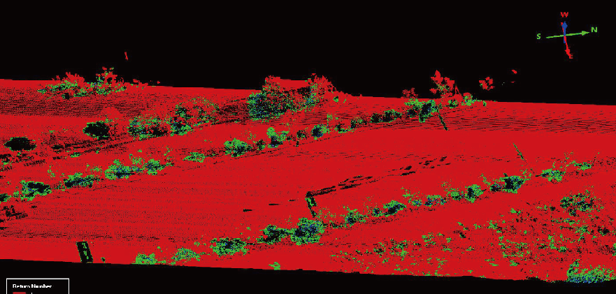 澳门新威斯尼平台