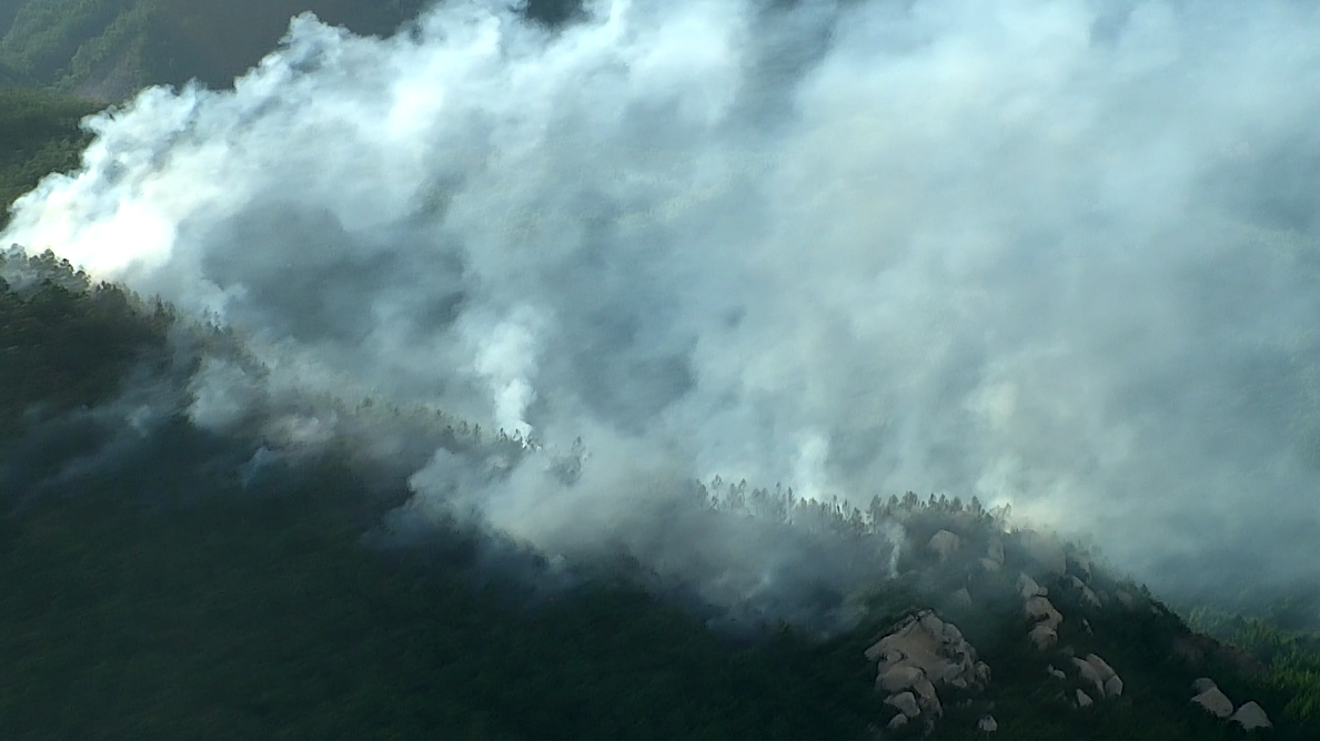 澳门新威斯尼平台